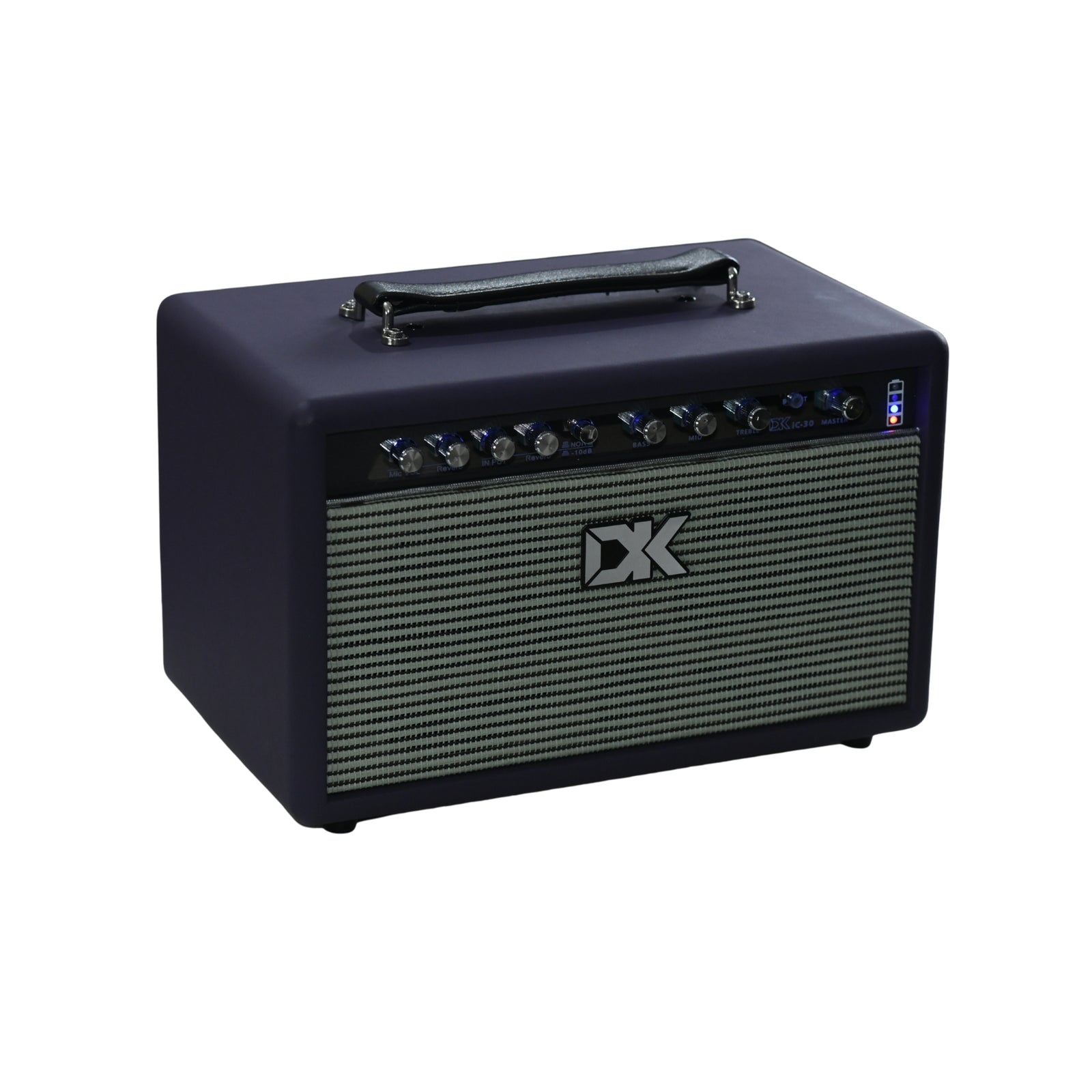 DK IC30 Acoustic Guitar Amplifier - DP - L