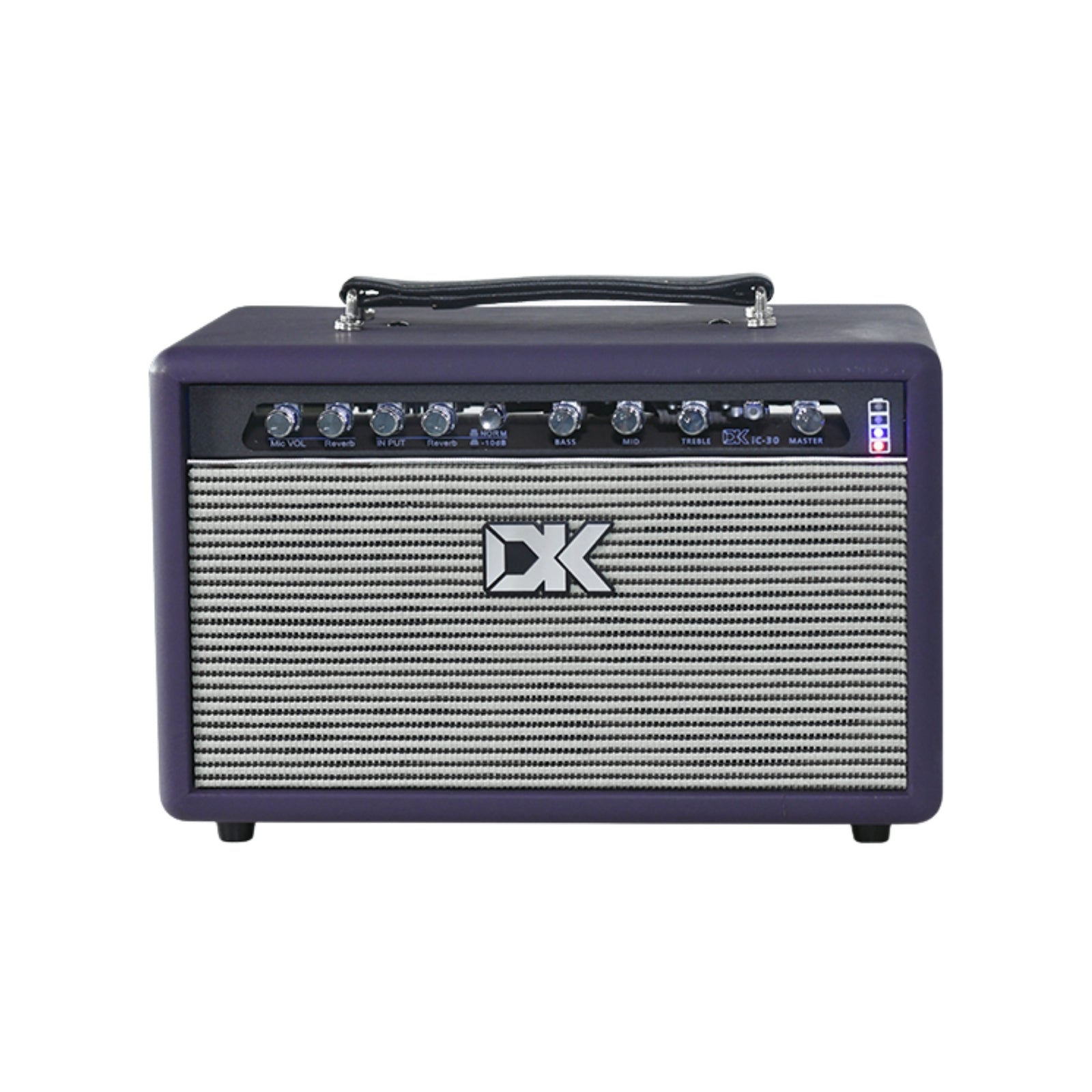 DK IC30 Acoustic Guitar Amplifier - DP