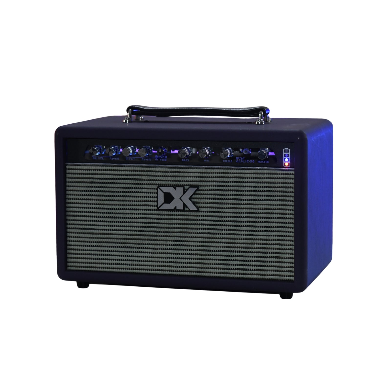 DK IC30 Acoustic Guitar Amplifier - DP - R
