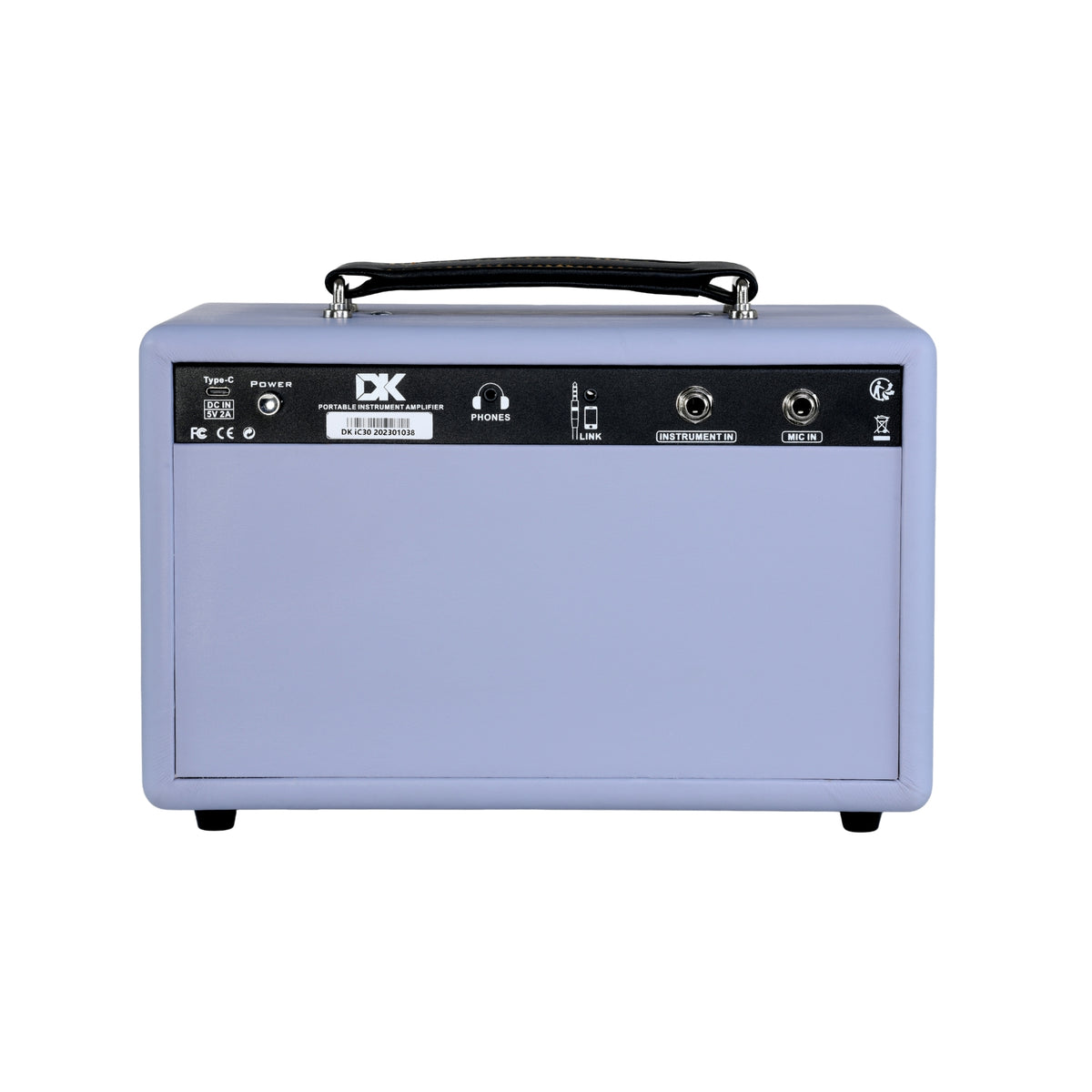 DK IC30 Acoustic Guitar Amplifier - LP - Back