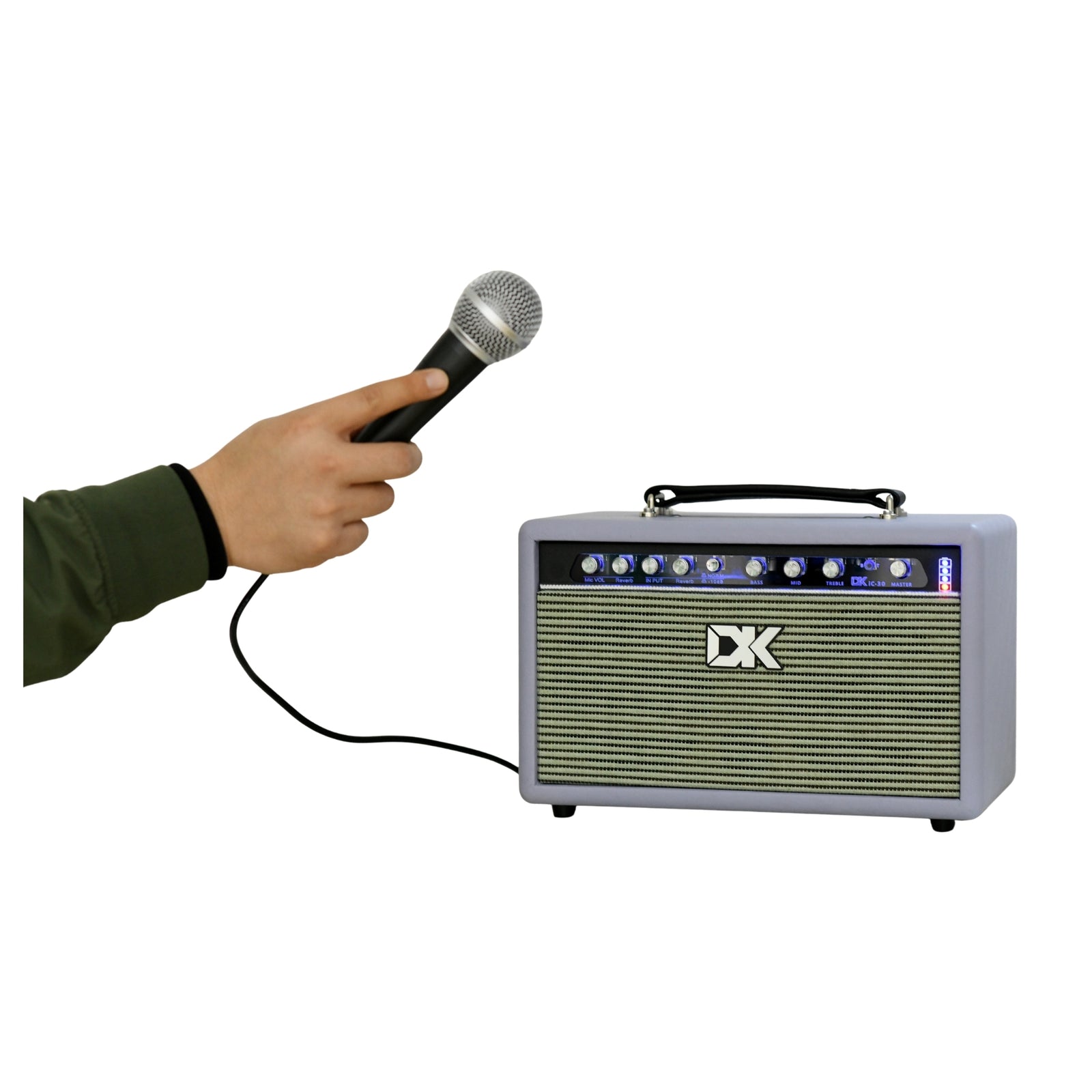 DK IC30 Acoustic Guitar Amplifier - LP - with mic