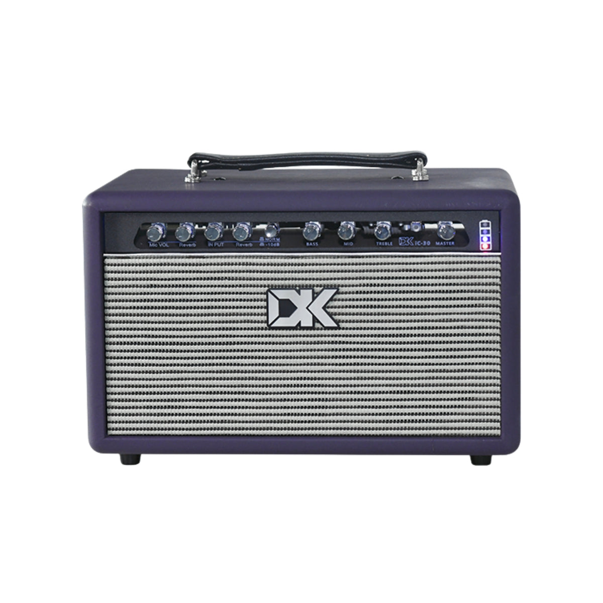 DK IC30 Acoustic Guitar Amplifier - DP