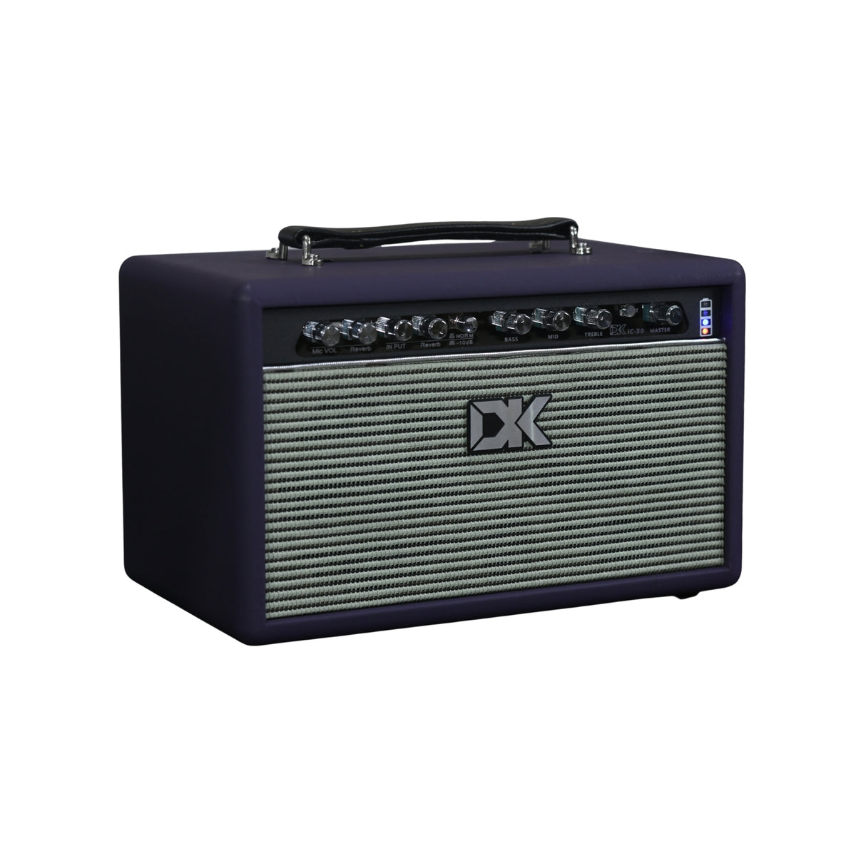 DK IC30 Acoustic Guitar Amplifier - DP - Left