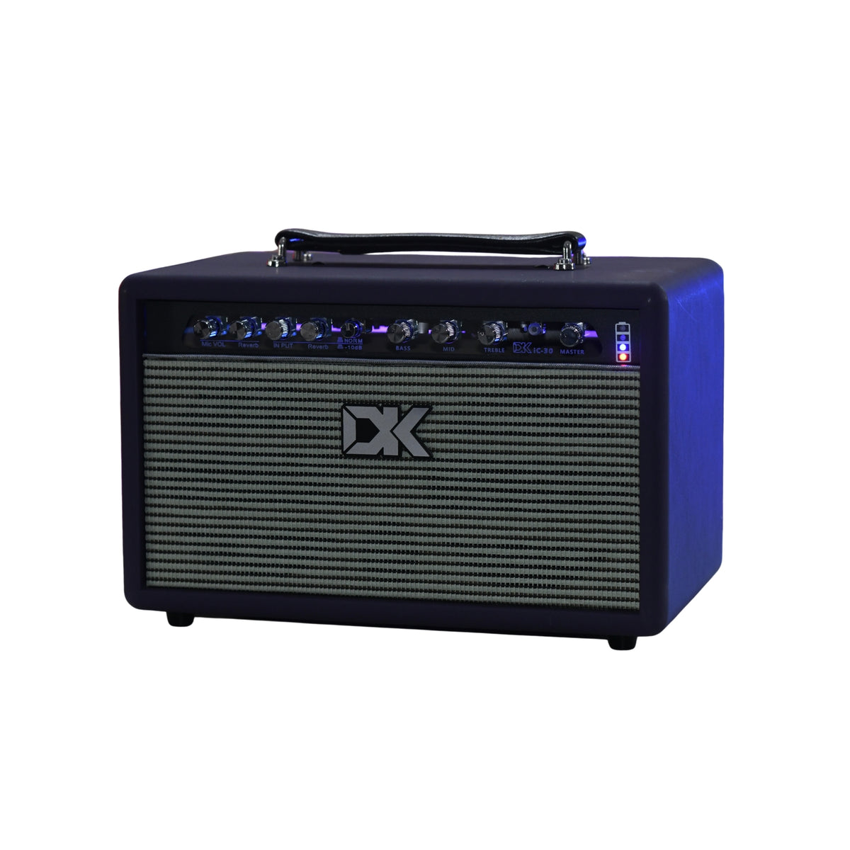 DK IC30 Acoustic Guitar Amplifier - DP - R