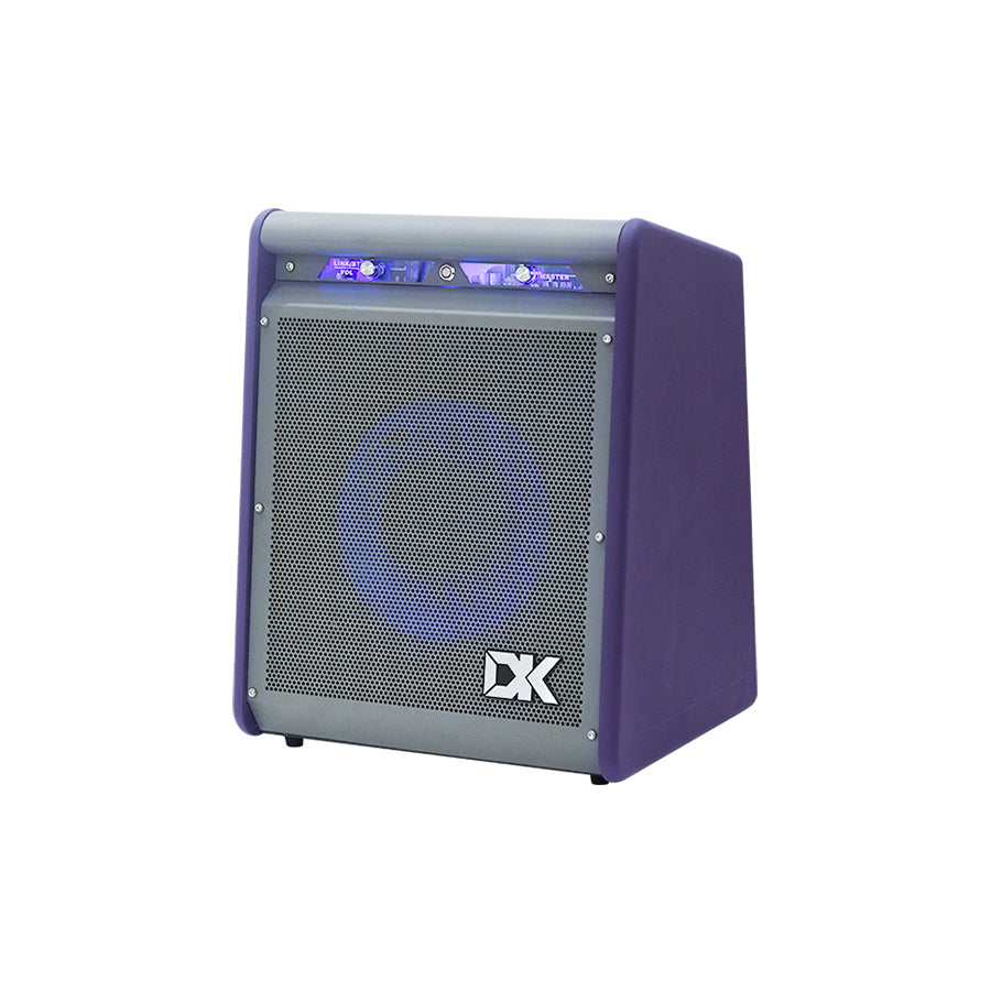 DK IB-50 50W Electric Bass Amplifier - ETONE.SHOP