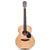 Wavegarden  B5-E Travel Electro-Acoustic Guitar Fishman ISY301 Pickup